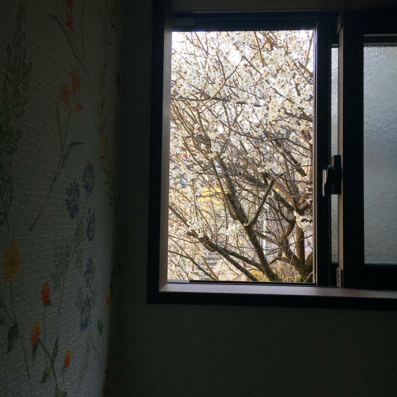 Stay Nikko Guesthouse Εξωτερικό φωτογραφία