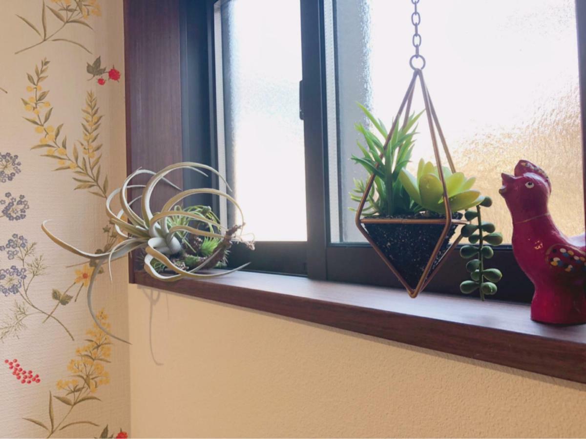 Stay Nikko Guesthouse Εξωτερικό φωτογραφία